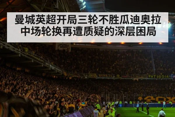 soccer stadium crowd night